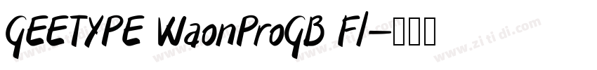 GEETYPE WaonProGB Fl字体转换